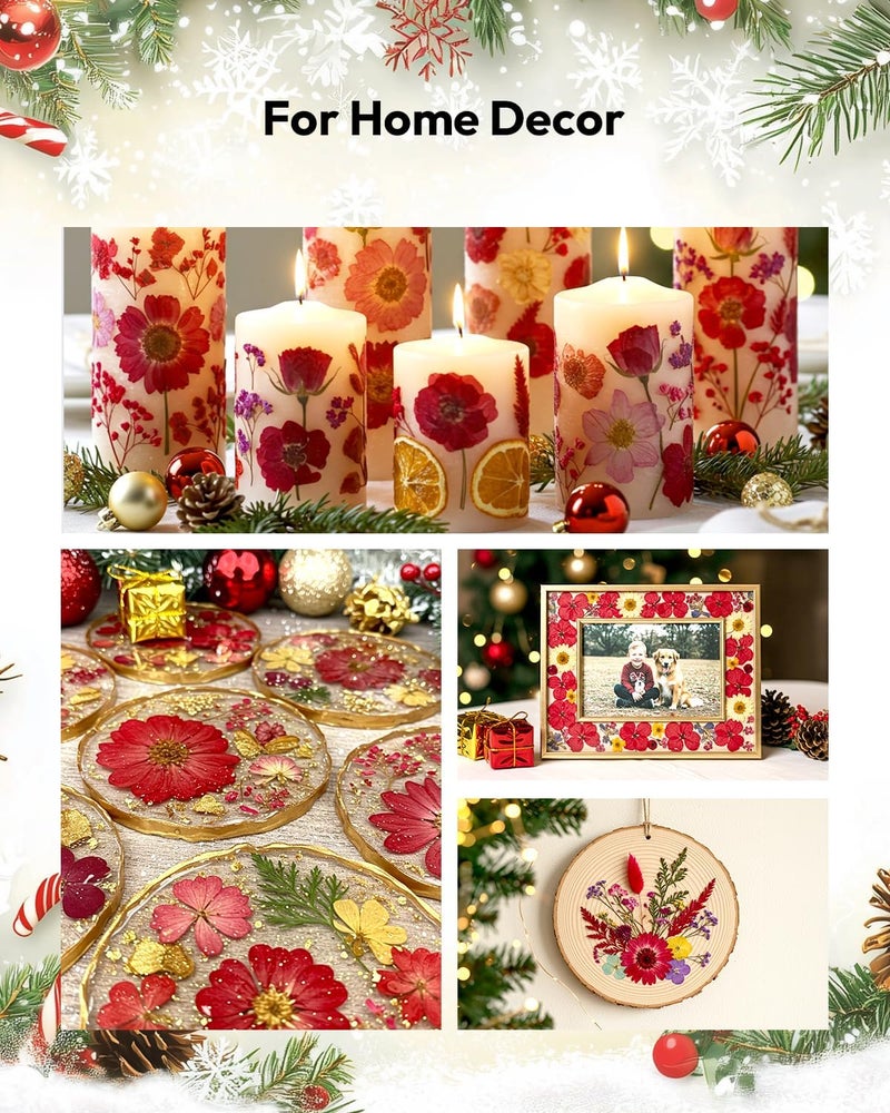 Resiners Dried Flowers, 6 Pack Pressed Flowers for Christmas Craft 100% Real Natural Dried Flowers Kits for Christmas DIY Making Crafts Resin Soap Candle Making Jewelry Scrapbook Supplies Card - Image 3